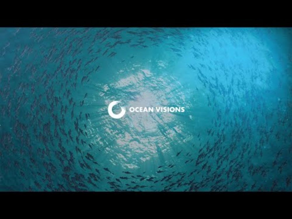 Ocean Visions: Advancing Solutions for Ocean-Climate Restoration