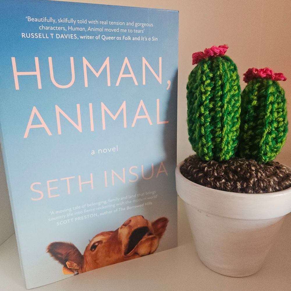 Image of a book Human, Animal - pale blue and featuring a cow at the bottom - next to a crocheted cactus in a white pot