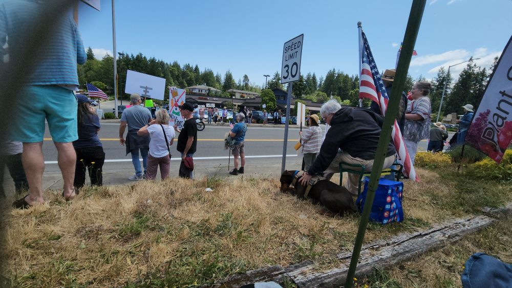 People gathering on both sides of the Key Peninsula Highway for the #NoKings protest Key Center, WA 