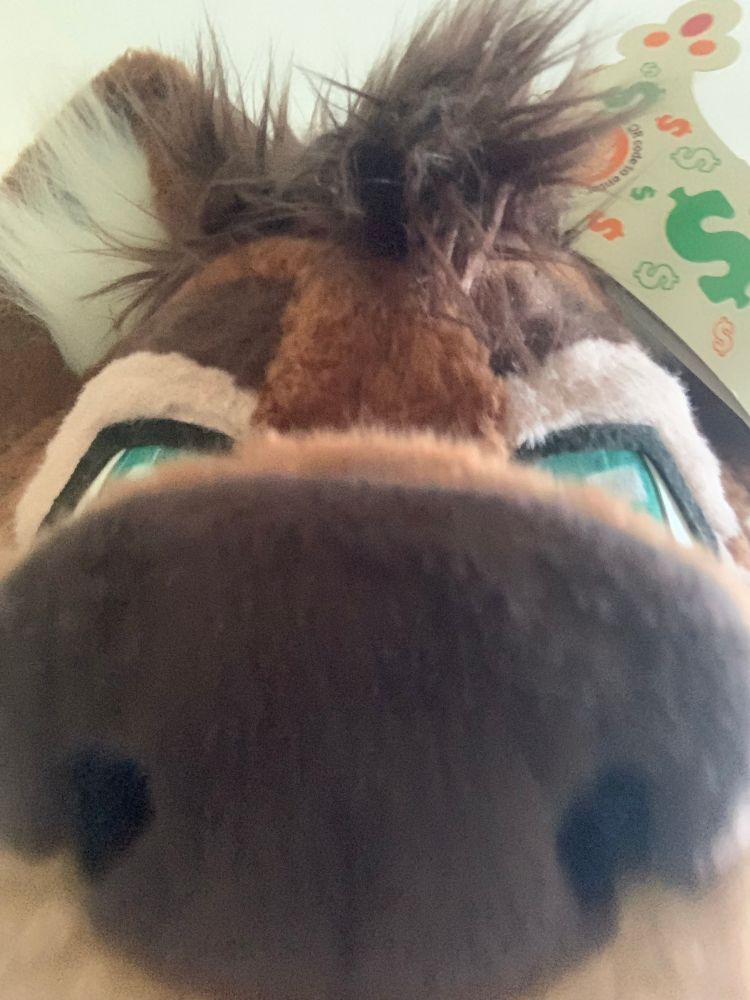 a fursuit of baja blast wearing a burger king crown.his big ass nose is taking up nearly the whole screen so you can hardly see his eyes