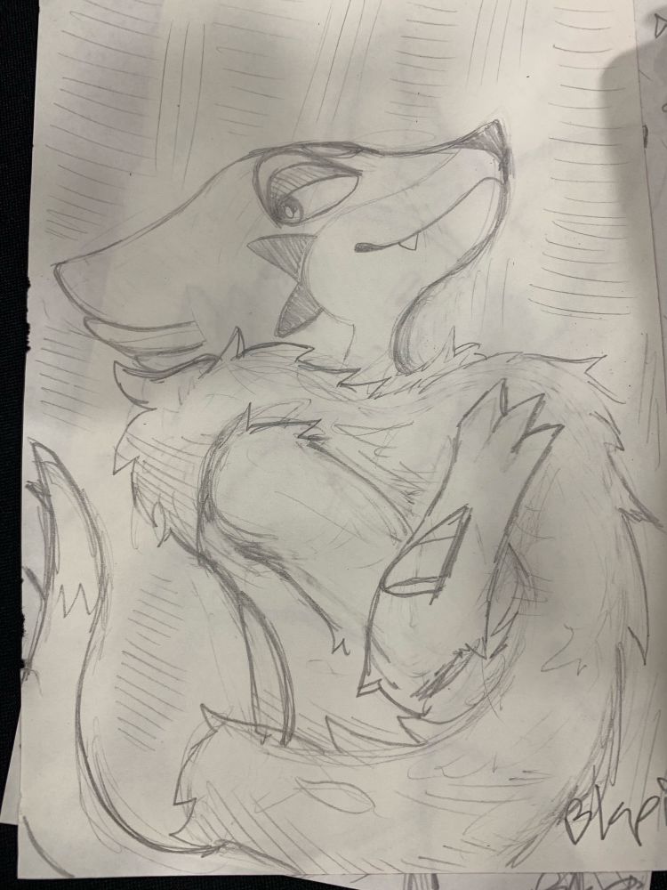 sketch of a smug-looking floatzel wearing a feather boa