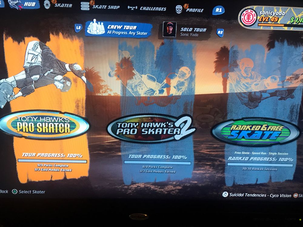 100% on all parks, medals and ranked sessions in THPS1&2