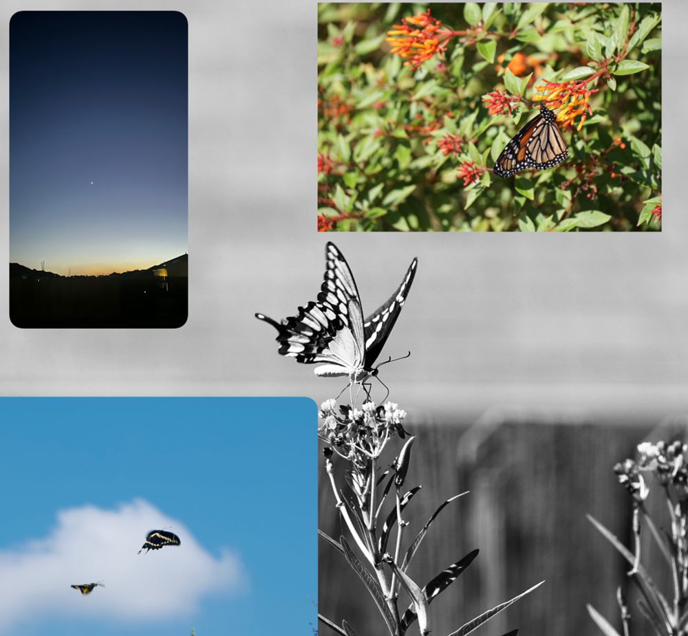 Comment image