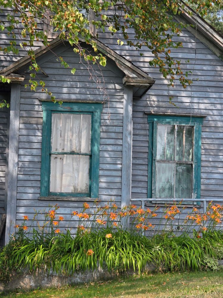 Old blue house with orange flowers in front.