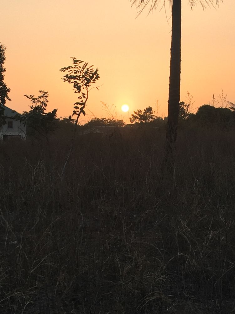 This Evening , 🌅 Just love the nature 