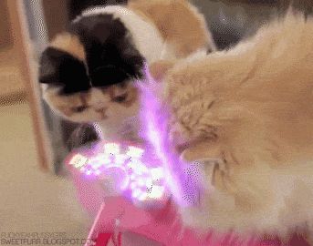 Bild einer oder mehrerer Katzen. (Leider gibt es keine kostenlose API für Katzenbilder, die einen Alt-Text mitliefert, daher diese sehr unspezifische Beschreibung.)