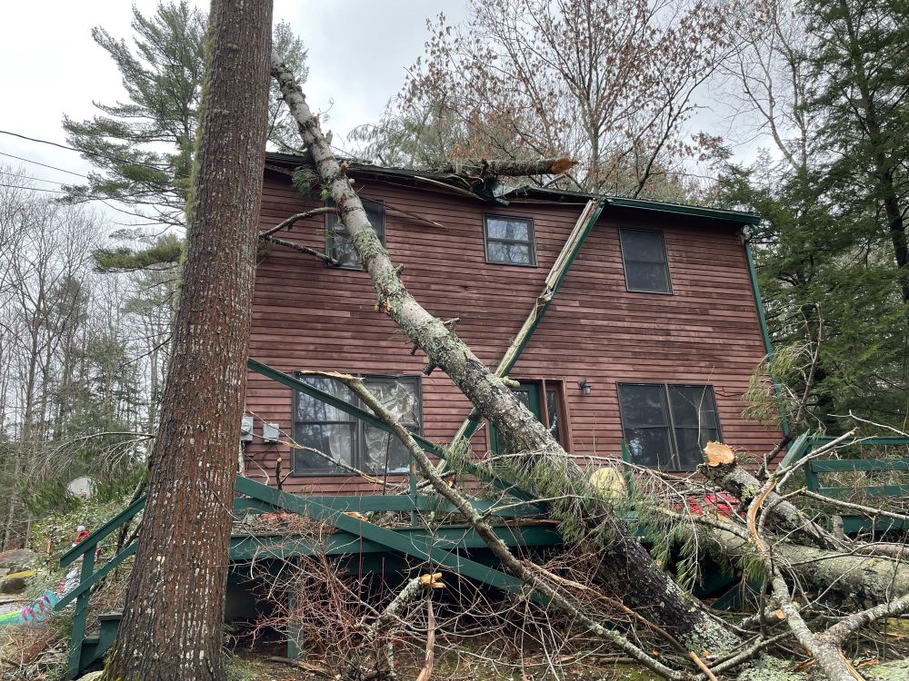 A massive pine tree lays in a messy pile on my house.
