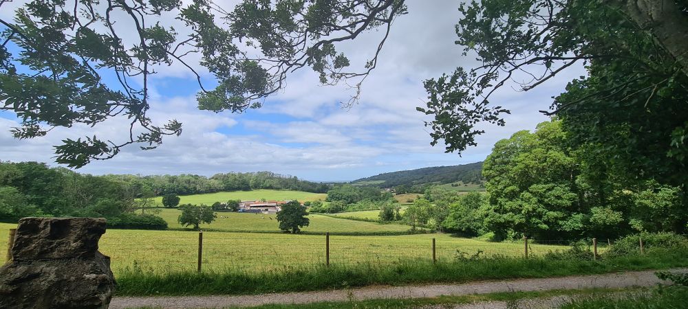 A field with hills in the background 