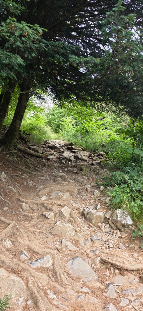A steep and rocky path. 