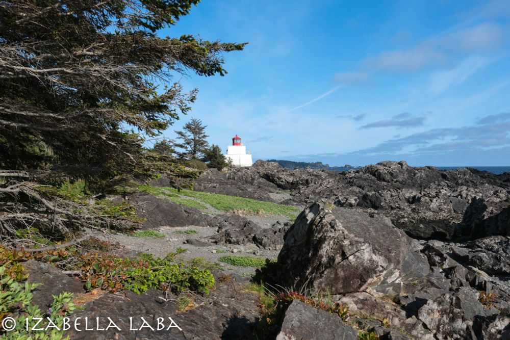 Rocky shore with a lighthouse further away.