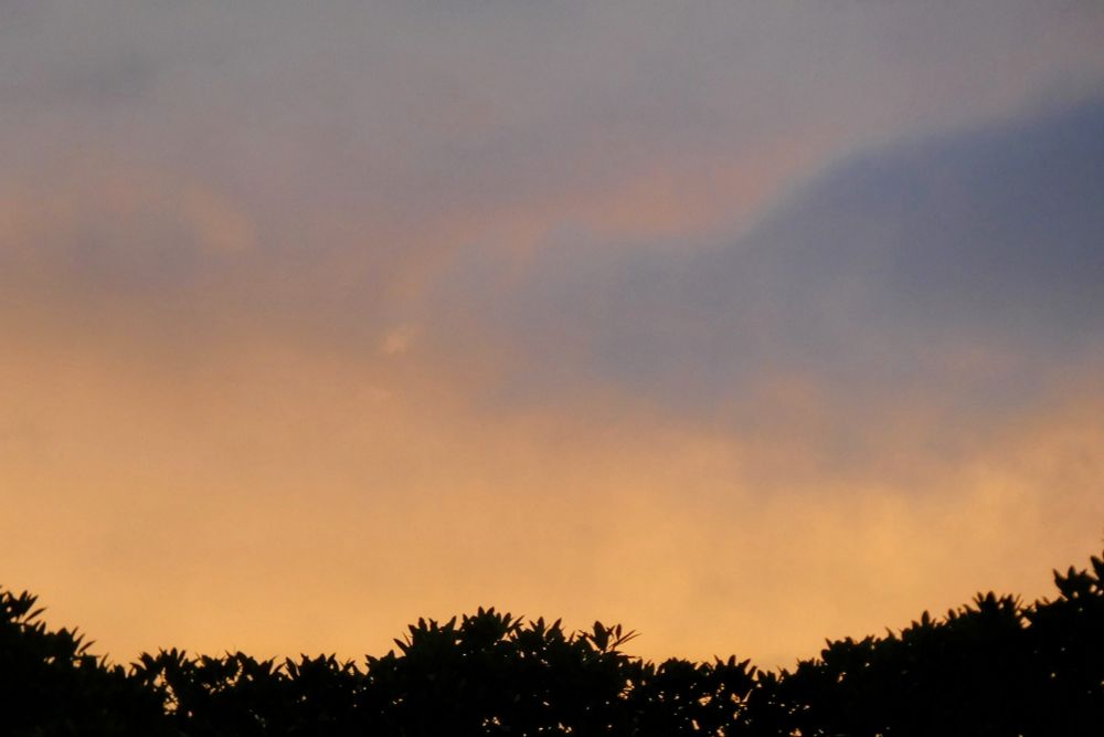A blue sky shows through white and peach clouds. There is a row of silhouetted trees at the bottom of the photo. 