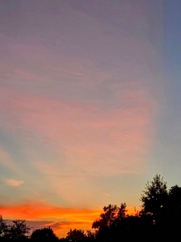 Post image (had no alt text on Bluesky)