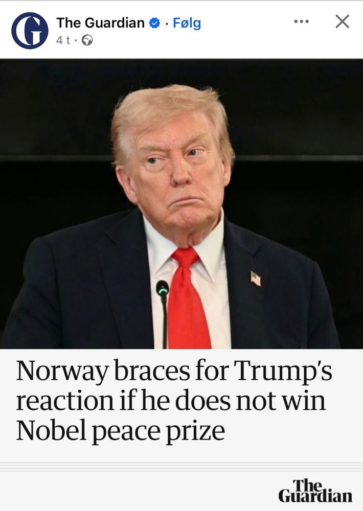 Screenshot from the The Guardian. 