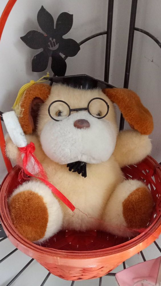 Picture of a scholarly dog plushy wearing glasses and a graduation cap, holding a scroll