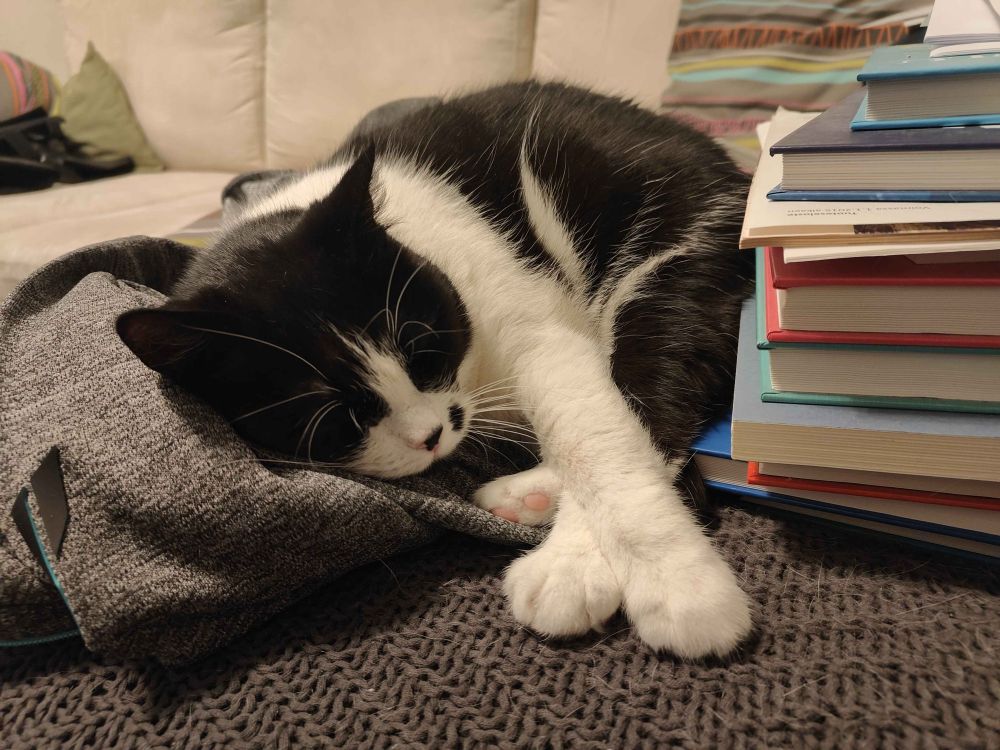 a black and white cat sleeping next to a pile of books