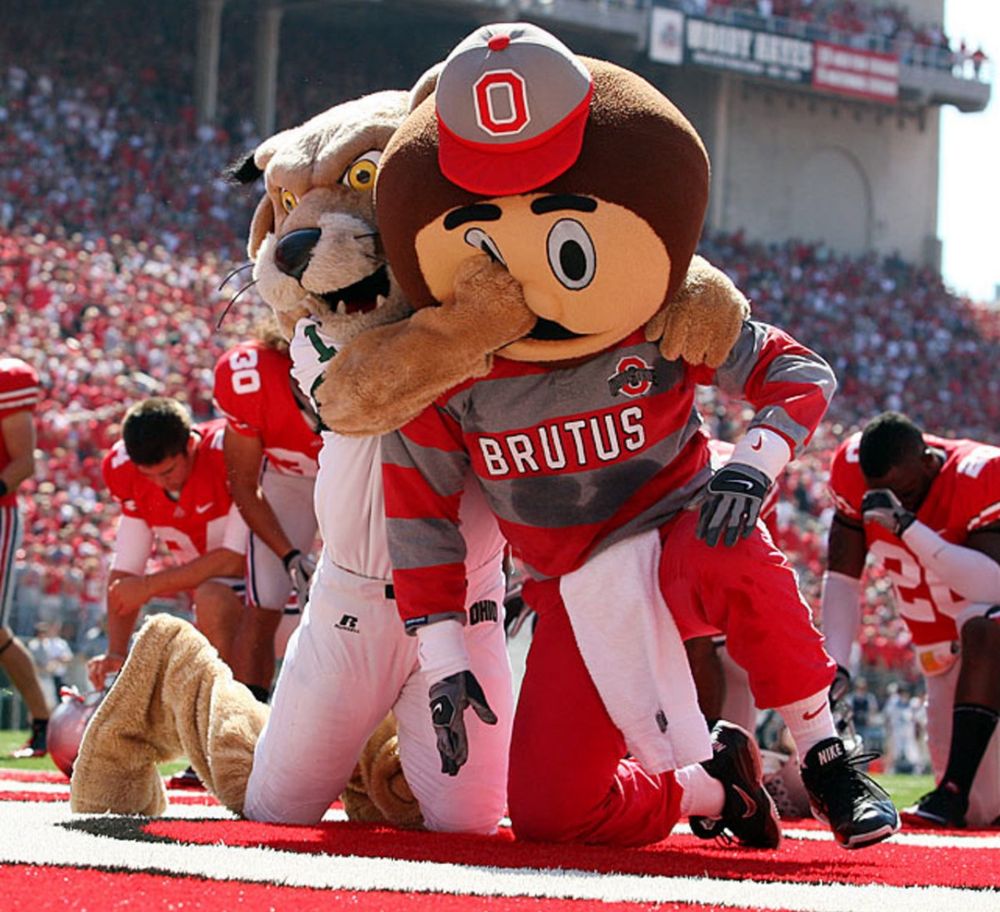 The bobcat mascot for Ohio University, Rufus, with a menacing face, tackles and punches the goofy-looking Ohio State Buckeye mascot Brutus in the face. 