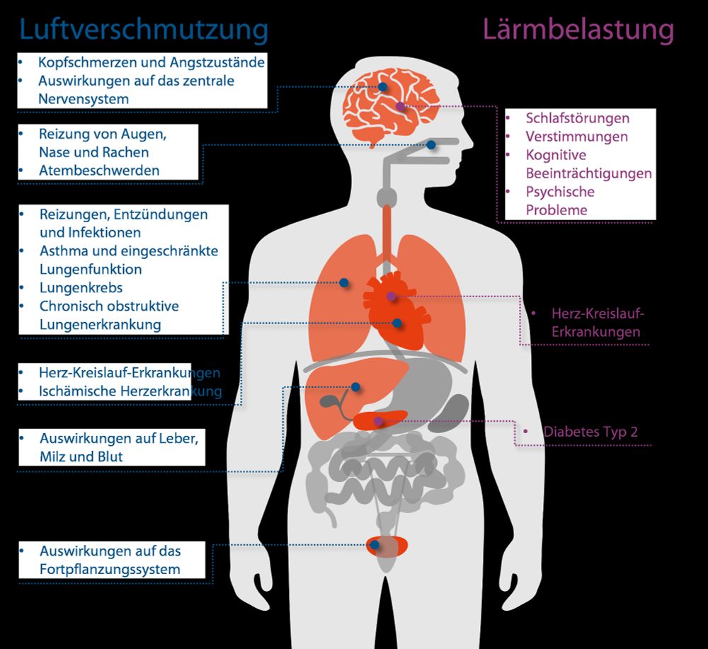 Betroffene Organe Quelle: https://www.eca.europa.eu/de/publications/SR-2025-02