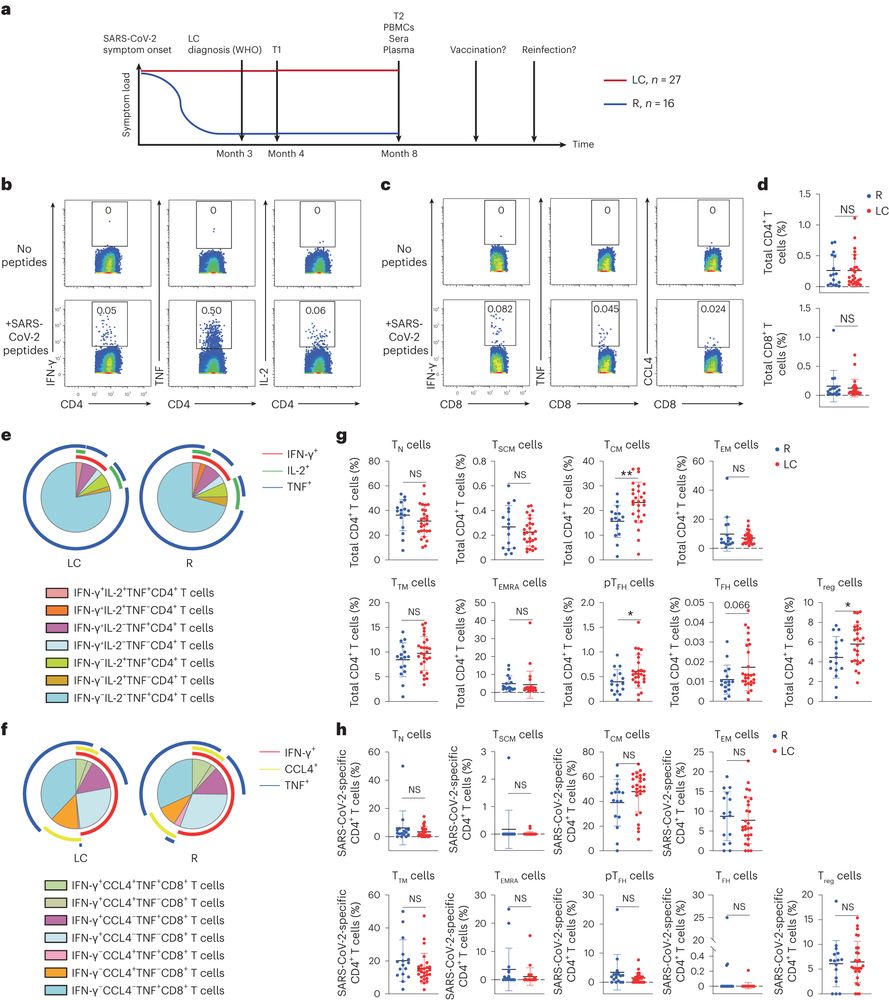 Long COVID manifests with T cell dysregulation, inflammation and an uncoordinated adaptive immune response to SARS-CoV-2