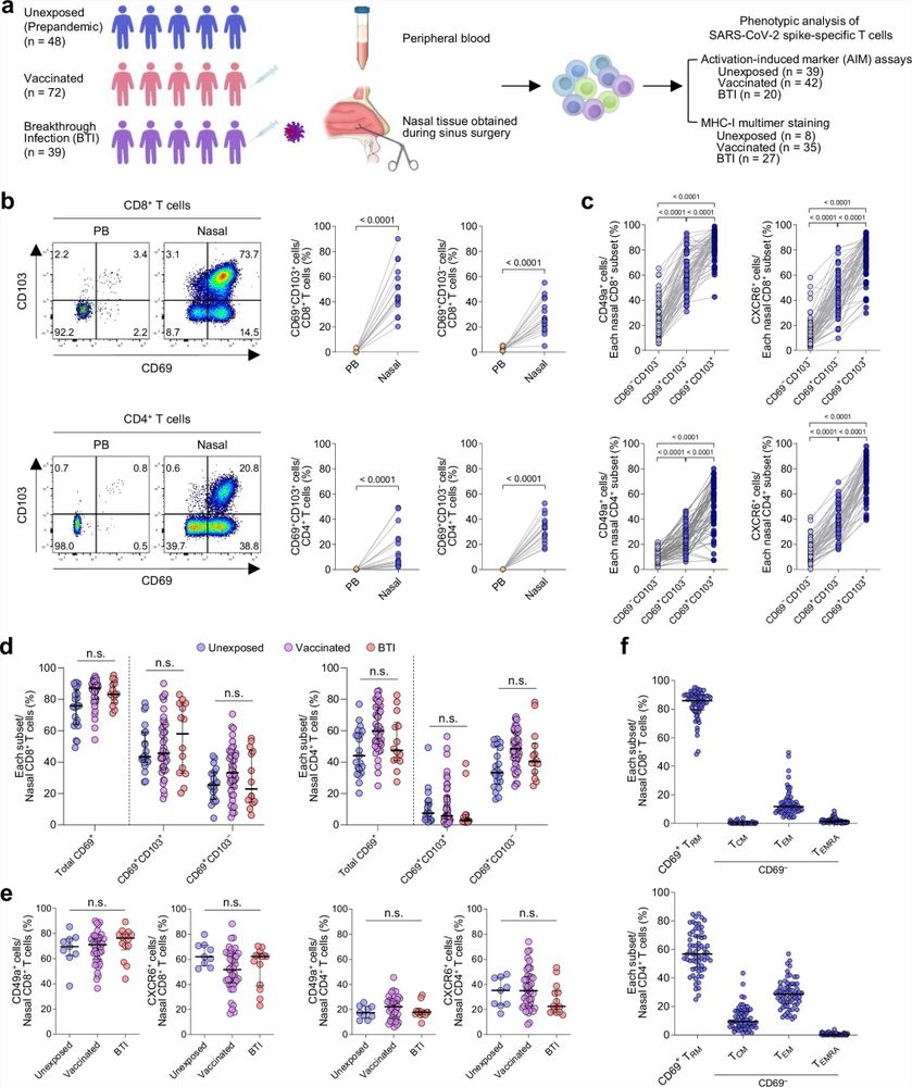 SARS-CoV-2 spike-specific nasal-resident CD49a+CD8+ memory T cells exert immediate effector functions with enhanced IFN-γ production