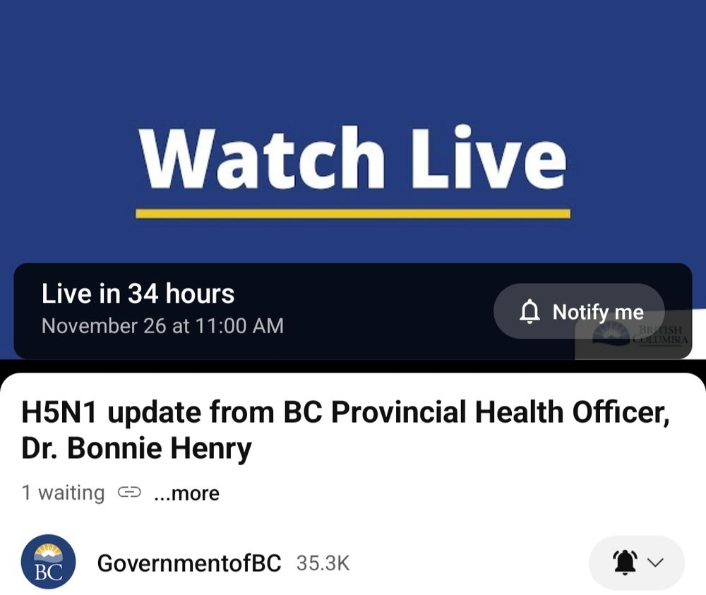 An screenshot of a YouTube holding page for an upcoming briefing with Dr. Bonnie Henry on H5N1.