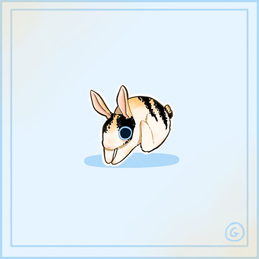 Bunny