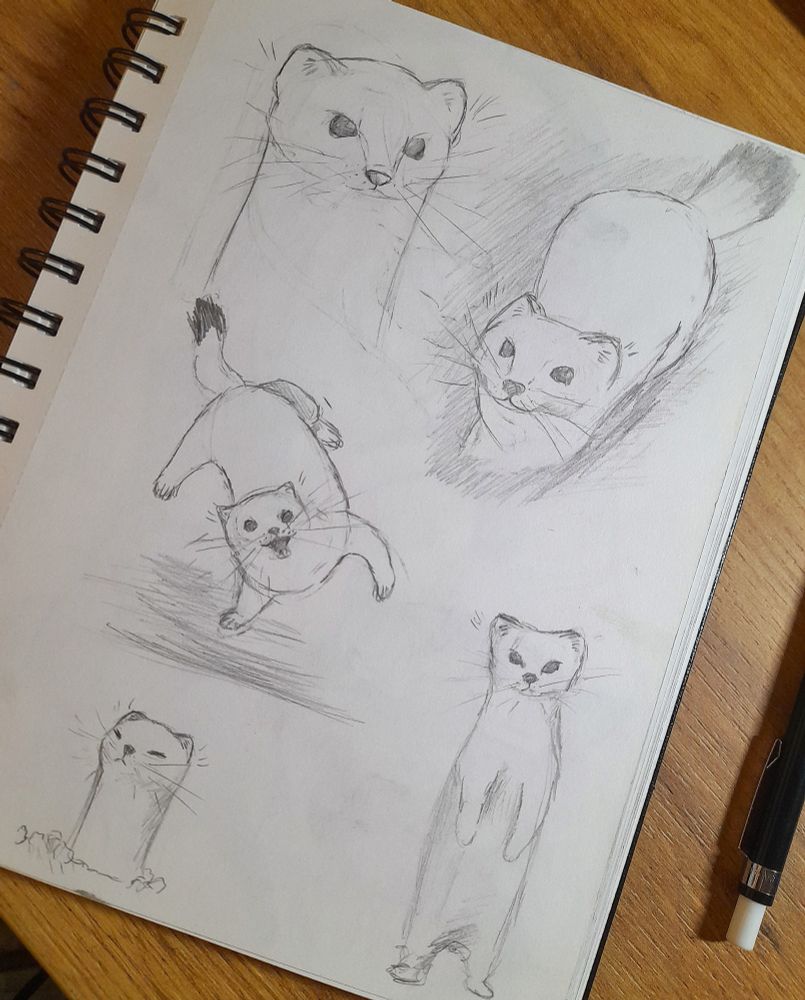 just some sketches of animals
