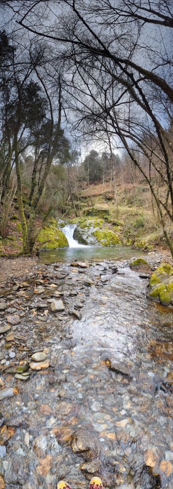 Et au milieu coule une rivière 
