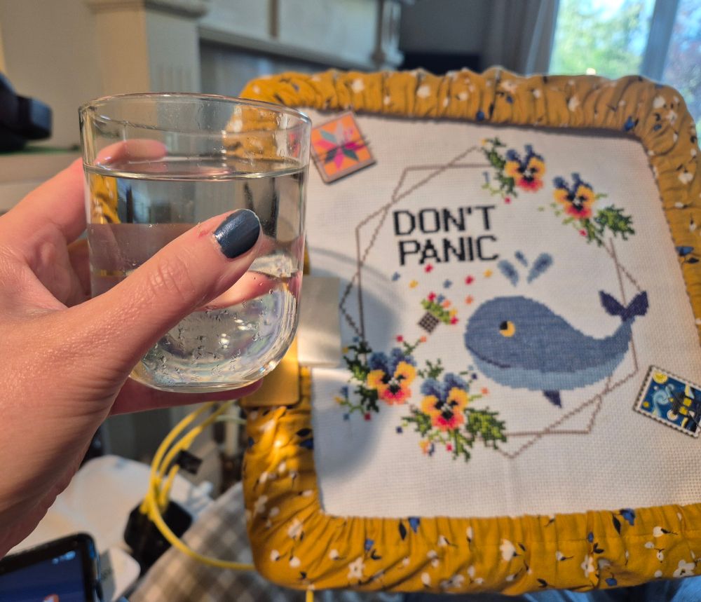 Left hand holding a tumbler of clear liquid. Cross stitch showing a whale, some petunias and the words 'DON'T PANIC'. 