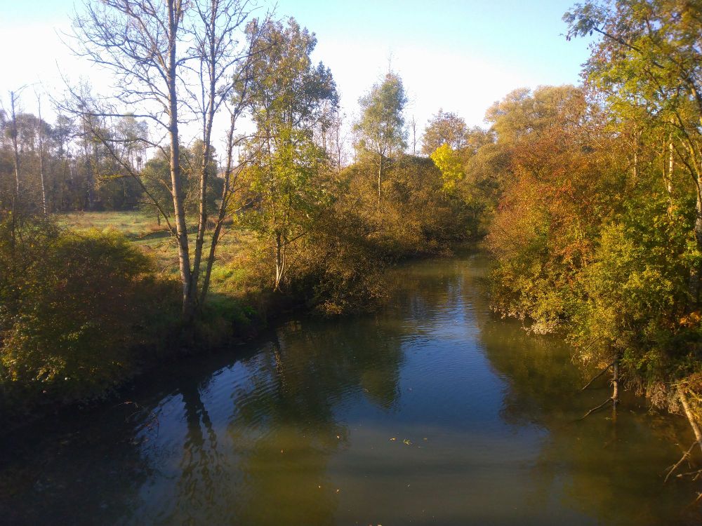 Photo de rivière, bordée d'arbre qui perdent leurs feuilles
