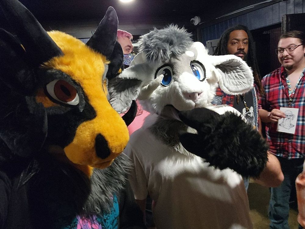 Hudson (@hudsondagoat.bsky.social) — Bluesky