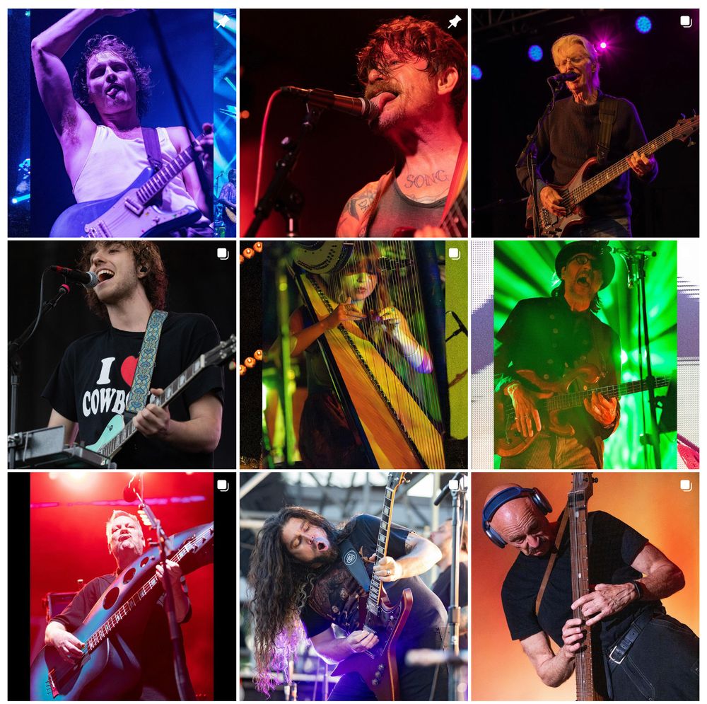 A three-by-three photo grid featuring concert photos of musicians from King Gizzard and the Lizard Wizard, Osees, Phil Lesh, Geese, Mikaela Davis, Primus, Violent Femmes, Coheed and Cambria, and Stick Men.