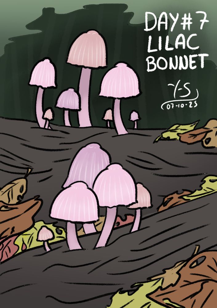 Art of some lilac bonnets gorwing out of fallen logs. Some fallen autumn leaves are around the logs as well.