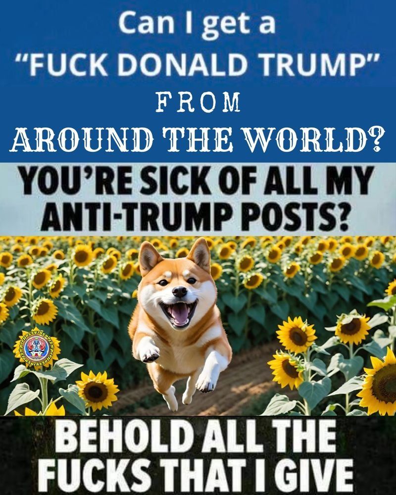 Comment image