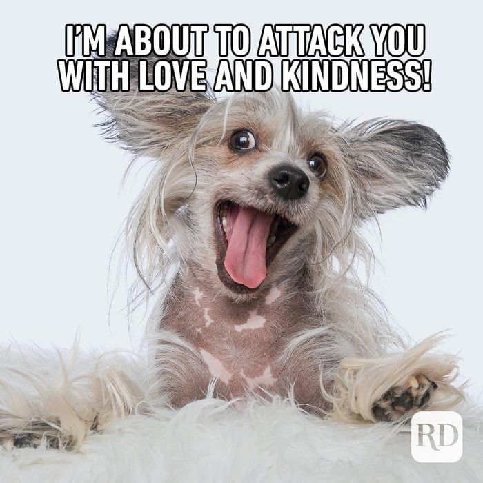 Comment image
