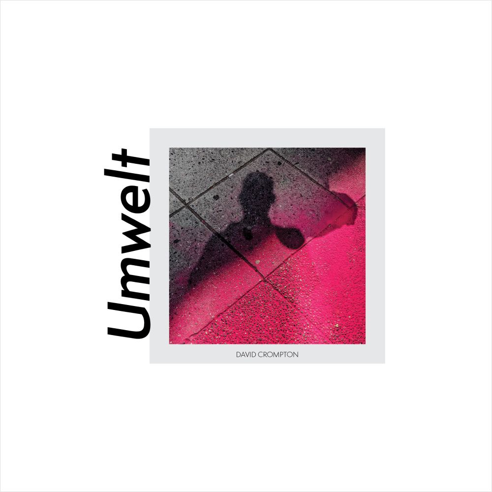 Cover of photobook with the text "Umwelt" and "David Crompton" A square photograph depicts a human head and shoulders shadows on city concrete with vibrant pink paint covering half the frame.