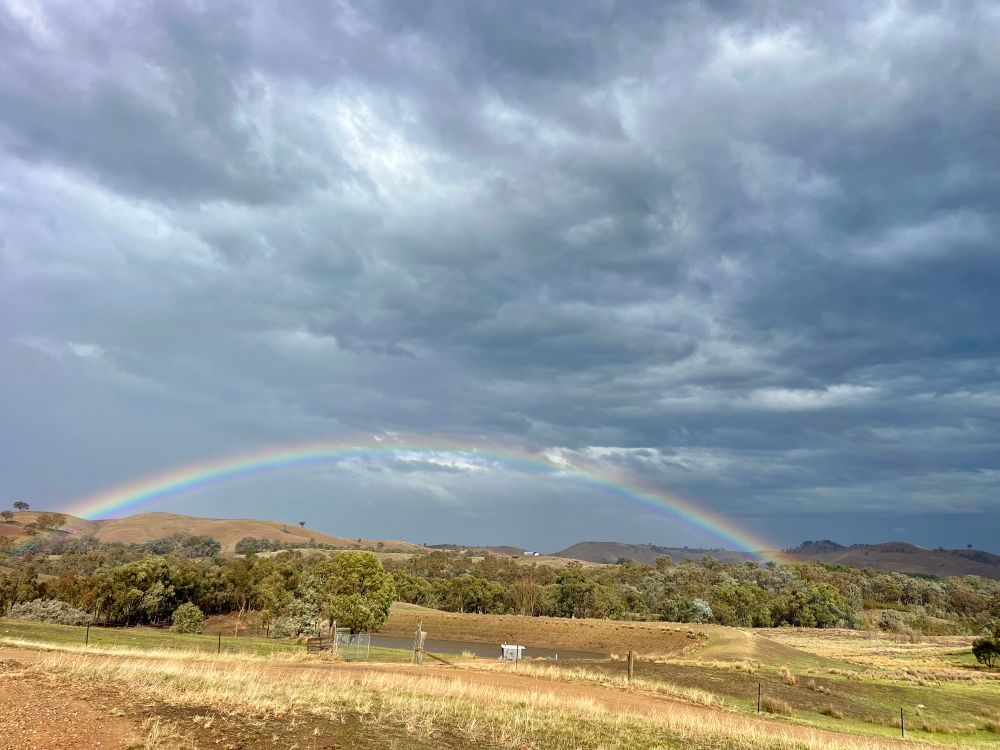 Photo of short-lived rainbow in one of our paddocks after a shower of much needed rain..