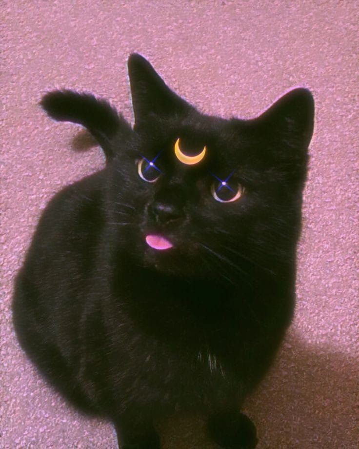 Luna :P
