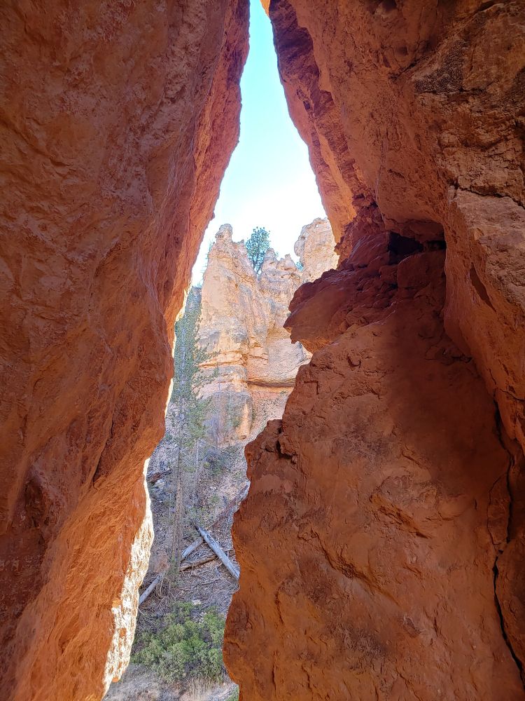 Photo looking out through a stone arch of sorts in Bryce Canyon National Park