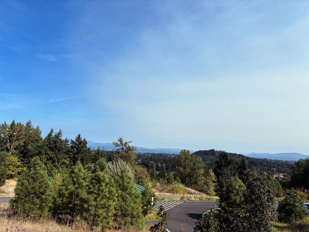 Verdant hills with a road in the center. Blue sky and hazy white clouds above.