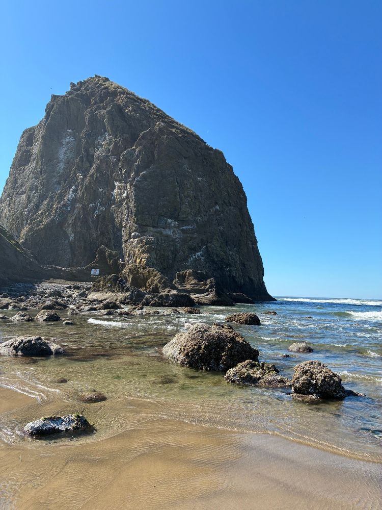 An enormous, 15-million-year old rock on a beach with the ocean in the background.