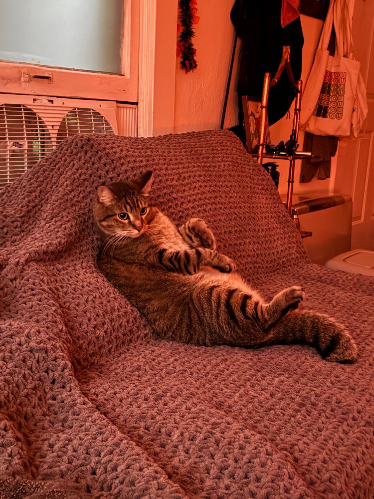 A brown tabby cat sits like people on a gray crocheted blanket.