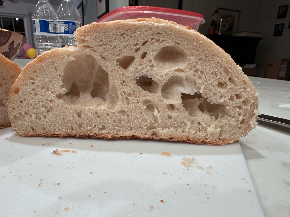 One half sourdough loaf to see crumb. Crumb is throughout but uneven. 