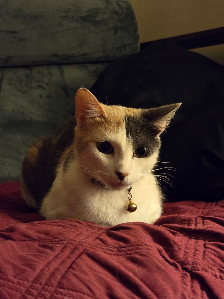 Azuki in a loaf with dilated eyes