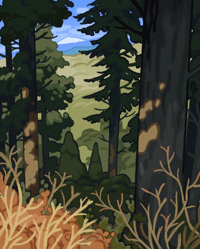 A digital painting of a Pacific Northwest landscape. The foreground is covered in trees, and in the distance there are rolling hills and a mountain