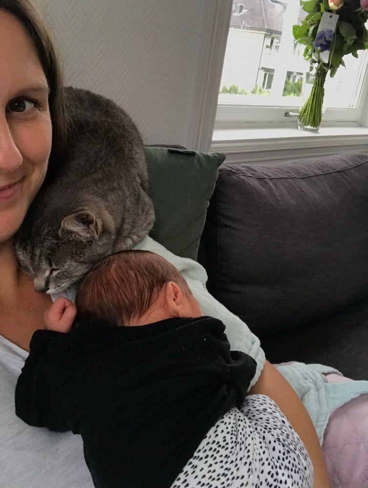 Baby sover på brystet til mamma som sitter i sofaen. Over skuldera/i halsgropa ligger/henger en grå katt. Babyen sitt hode og katten sitt hode rører hverandre. 