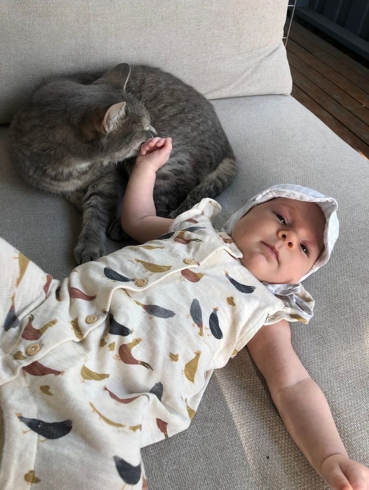 En baby ligger i en utesofa. Den ene hånden rører en grå katt som ligger ved siden av henne. Katten oppsøker barnehånda med hodet sitt for å få kos.