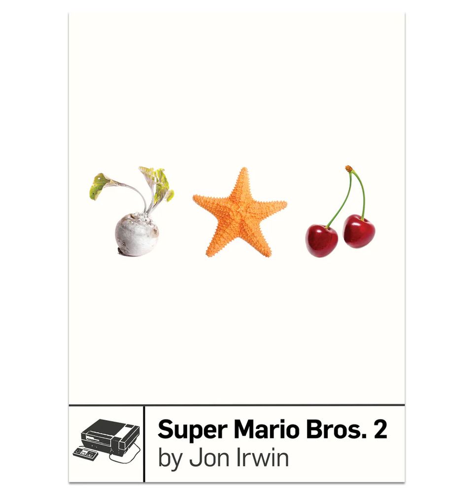 Cover of Jon Irwin’s “Super Mario Bros. 2” book 