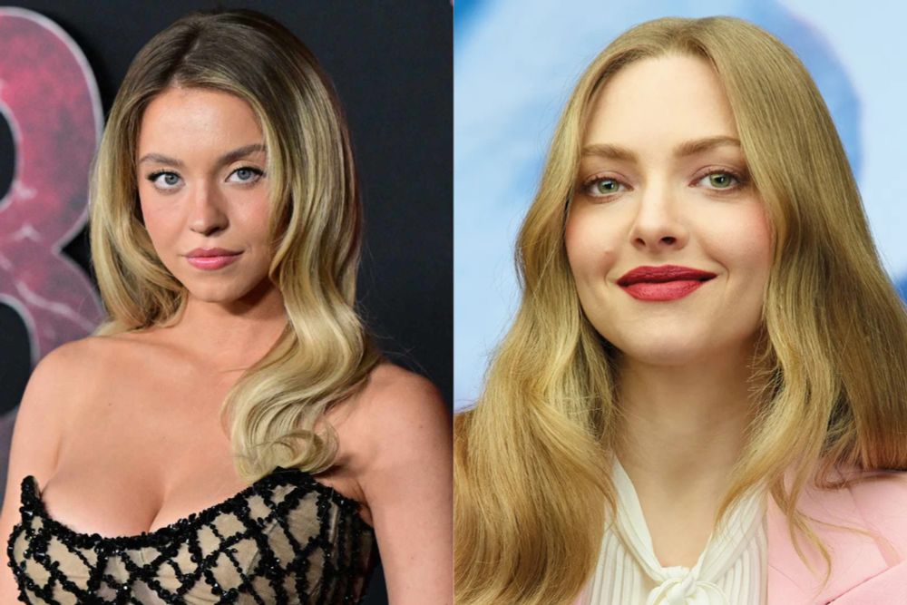 Sydney Sweeney e Amanda Seyfried serão protagonistas de ‘A Empregada’ — Entre Séries