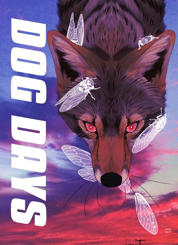 A digital painting of a coyote's head, leaning in from the top of the painting and seen from an overhead view. The Coyote has white, ghostly cicadas crawling all over it, and wings hanging from it's mouth as if it just bit one. the background is an edited photo of a sunset, and there is large white text down the left side of the image reading "DOG DAYS"