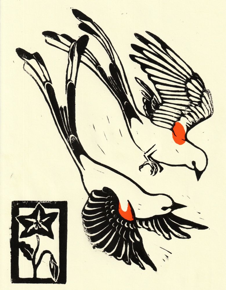 a linoleum print of two scissor tailed flycatchers in flight. although the print is primarily in black and off-white, the bird's wings have patches of bright orange on them. there is also a stamp in the bottom left corner depicting a silverleaf nightshade flower. 